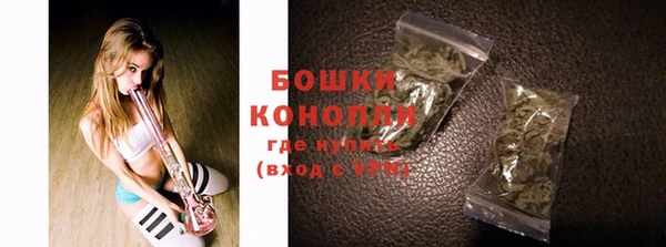 mix Богородицк
