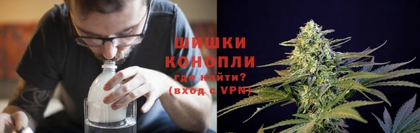 mix Богородицк