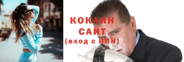 mix Богородицк