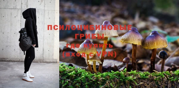 mix Богородицк