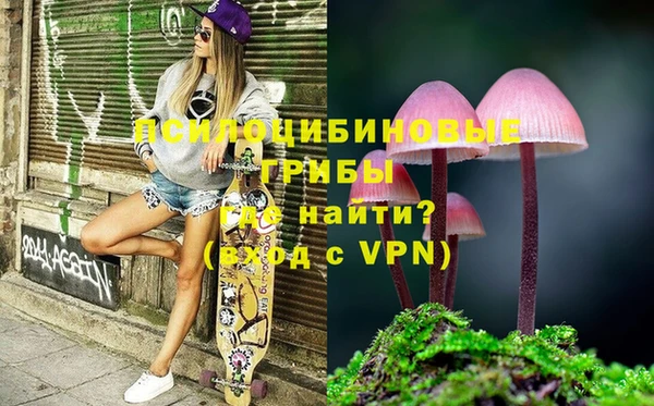 mix Богородицк