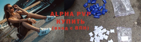 соль ск Белокуриха