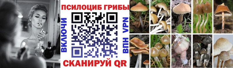 Галлюциногенные грибы Psilocybe  купить наркотики цена  Онега 
