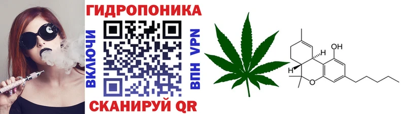 МАРИХУАНА THC 21%  Онега 